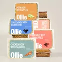 Ollie Fresh Dog Food New