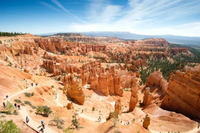Are Dogs Allowed in Bryce Canyon (2026 Update)