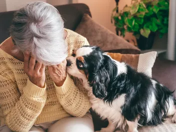 Can Dogs Sense Depression and Anxiety? Vet-Verified Facts & Info