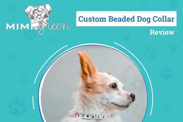 Mimi Green Custom Beaded Friendship Collar Review 2026: A Useful Token For Our Four-Legged BFFs