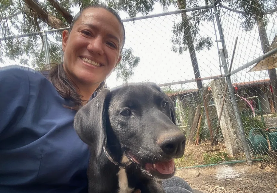 Lucky Dog Çevresinde gönüllülerle köpekler mutlu