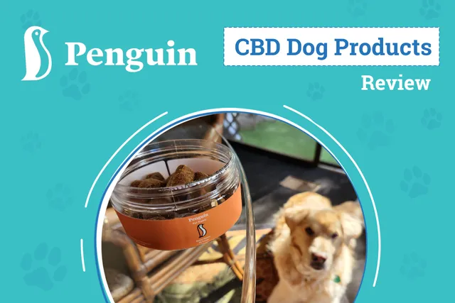 Penguin Dog CBD Supplements Review 2026: An Expert’s Breakdown