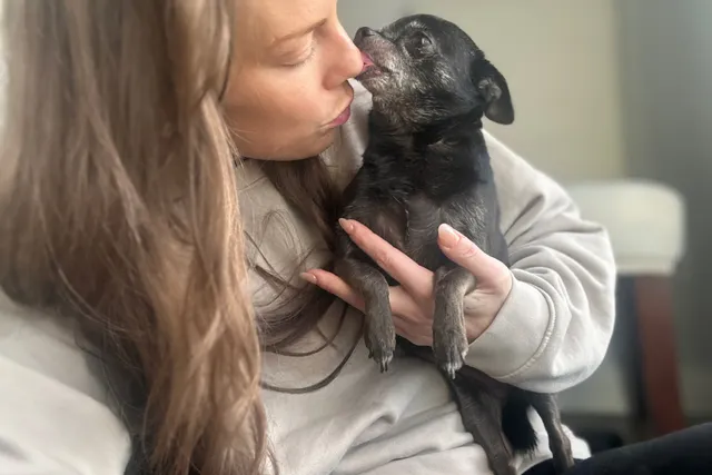 When Dogs Are Obsessed with Licking: Subi's Slobbery Fixation