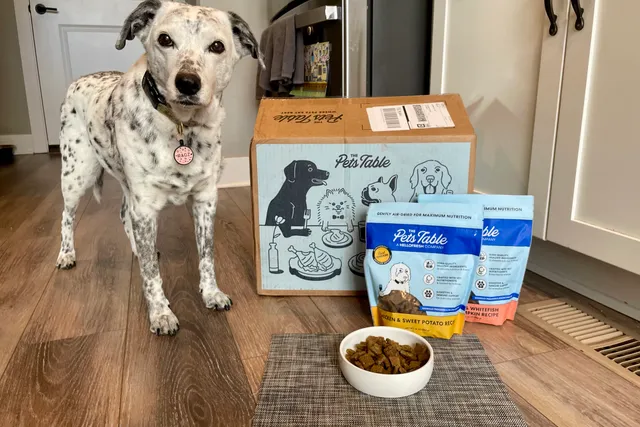 The Pets Table Review 2026: Our Expert’s Opinion
