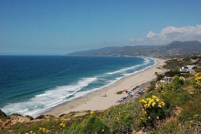 Is Zuma Beach Dog-Friendly? 2026 Guide & Safety Tips