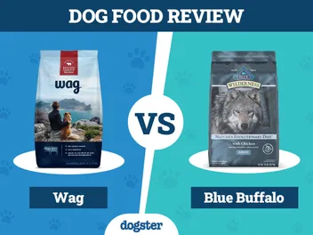 Wag vs Blue Buffalo Dog Food: 2026 Comparison, Pros & Cons