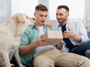 12 Best Gifts for Dog Lovers in 2026 - Reviews & Top Picks