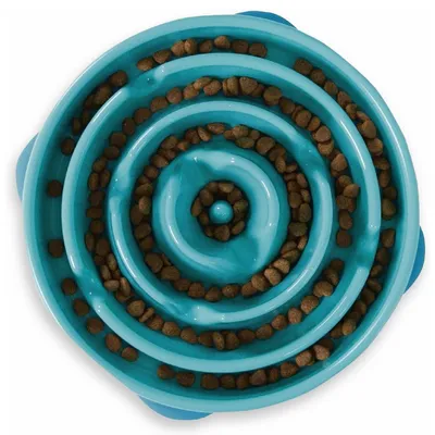 Outward Hound Non-Skid Plastic Slow Feeder Interactive Dog Bowl