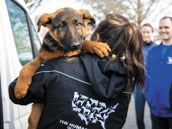 5 Tips on Disaster Preparedness for You & Your Dog (2026 Guide)