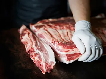 Can Dogs Eat Ribs? Vet-Verified Nutrition Facts & Precautions