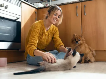 6 Best PetSmart Alternatives in 2026: Are They Better? Our Comparison