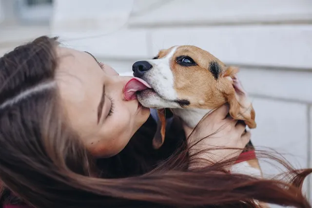 Are Beagles Good Family Dogs? Breed Temperament Explained
