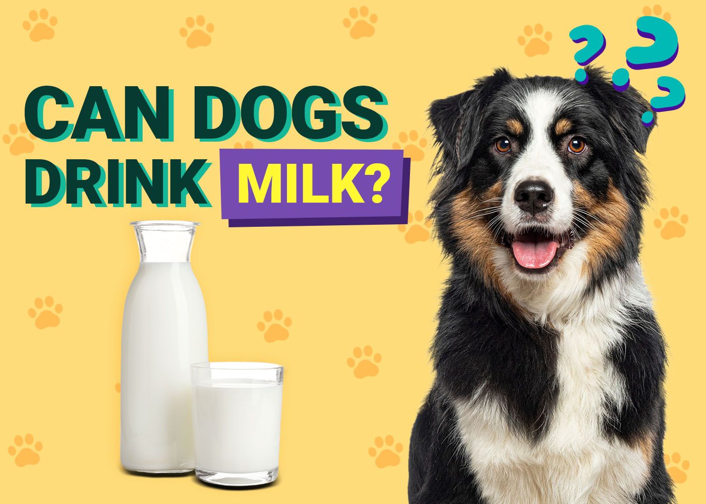 Can Dogs Drink Milk