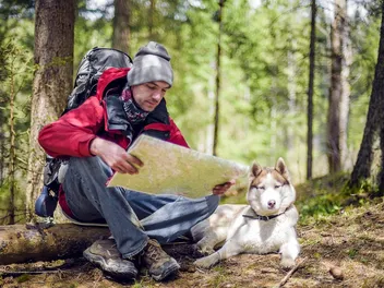 10 Dog-Friendly Hiking Trails in Upstate NY in 2026 (With Pictures)