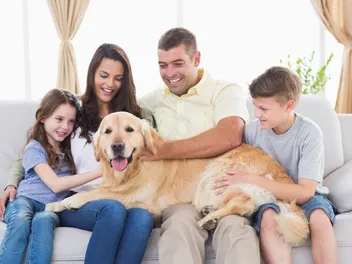 12 Things Only Big Dog Owners Understand: Relatable Memories