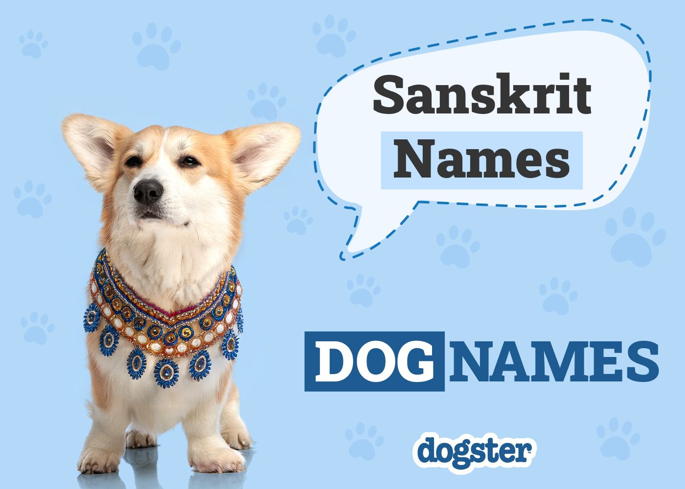 145+ Sanskrit Dog Names: Popular Male & Female Options