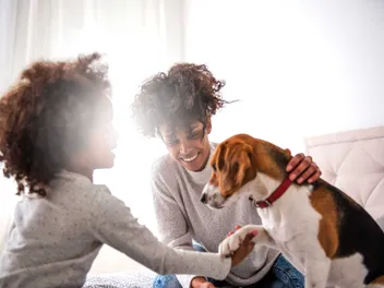 Thinking About Adopting A Dog? Here Are 5 Things To Ask Before Bringing Them Home