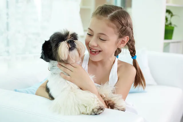 Will a Shih Tzu Be Good With My Kids? Everything You Want to Know! (Vet-Reviewed)