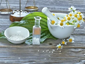 5 Common Misconceptions About Homeopathic Veterinary Care