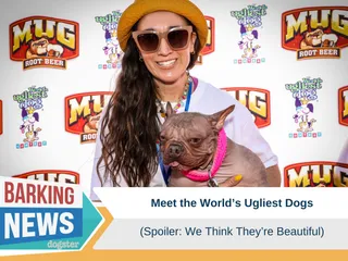 Meet The World’s Ugliest Dogs!