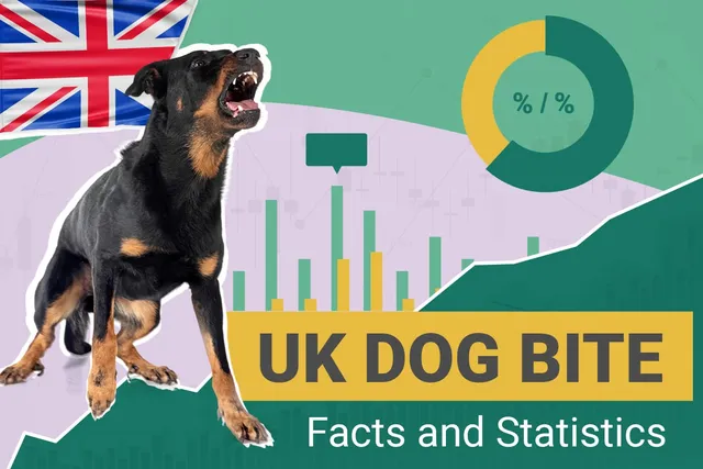 14 Surprising UK Dog Bite Statistics to Know in 2026