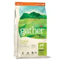 GATHER Endless Valley Plant Based Dog Food Vegan Recipe