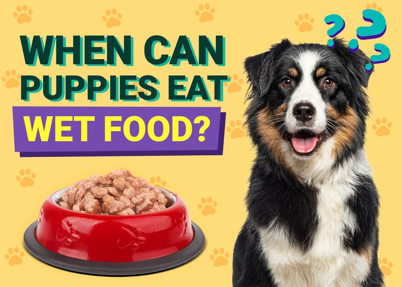 When Can Puppies Eat Wet Food