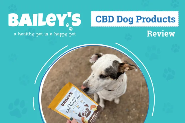 Bailey’s CBD Review 2026: An Expert's Breakdown