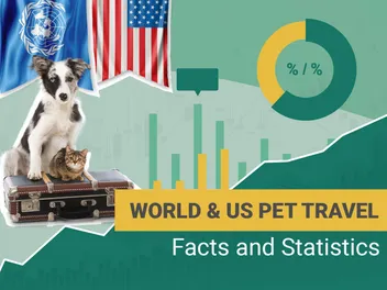 12 Interesting Pet Travel Statistics & Trends to Know: 2026 Update