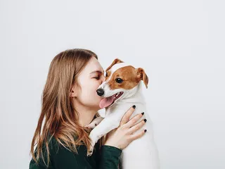 Am I Ready for a Dog? 7 Questions to Ask Yourself First