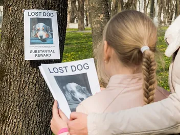 How to Find a Lost Dog: 12 Vet-Approved Steps