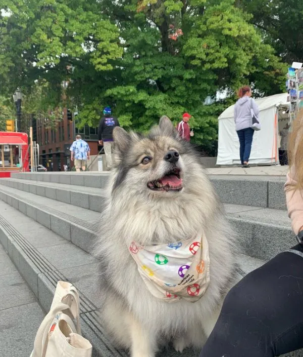 Portland Saturday Market