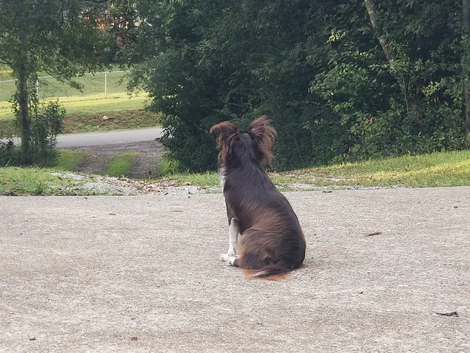 See Mom, I'm not going to run away.