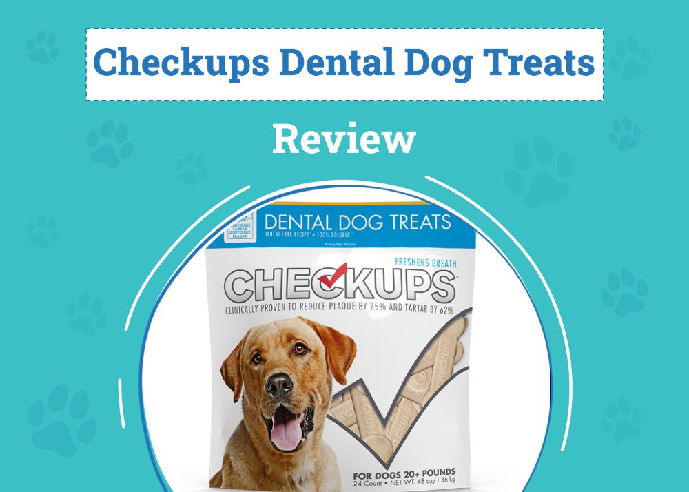 Checkups Dental Dog Treats Review 2026: Pros, Cons, Recalls & Verdict