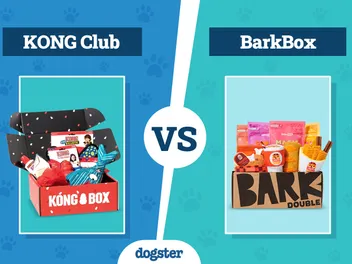 KONG Club vs BarkBox: Complete Comparison 2026 Update