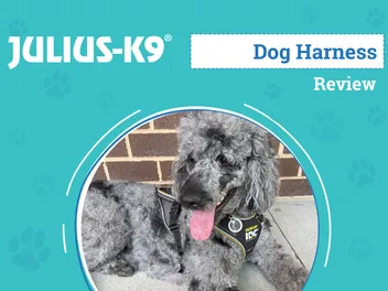 Julius K9 Longwalk Dog Harness Review 2026: An Expert's Breakdown