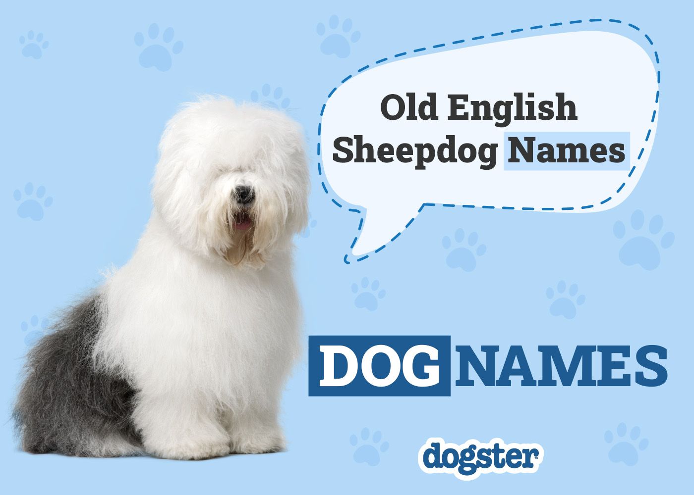 Dogster_Old English Sheepdog Names