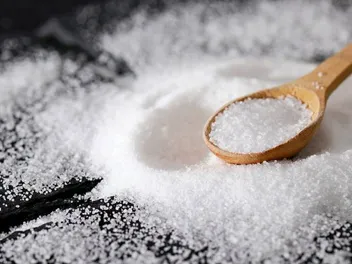 Will Salt Kill Fleas? Our Vet Answers