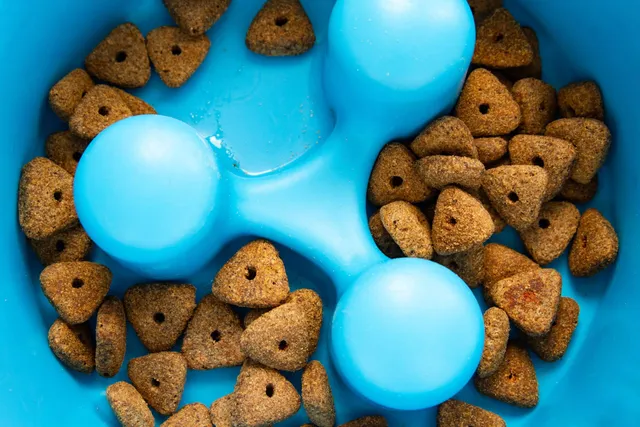 Slow Feeder Dog Bowls: Vet-Explained Benefits & Risks