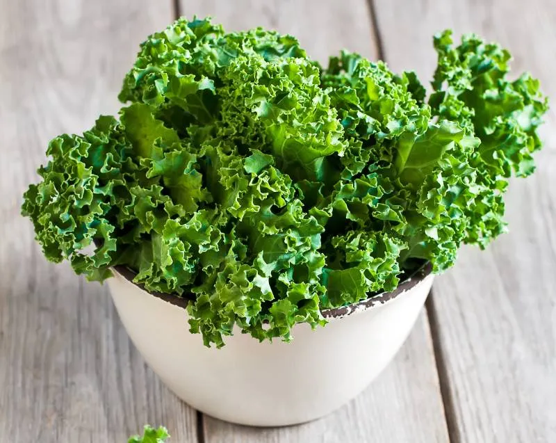 Fresh green kale in ceramic bowl