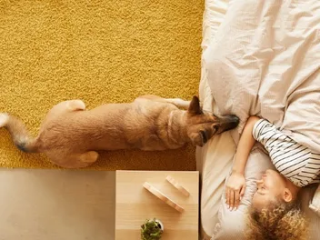 Why Does My Dog Stare at Me When I Sleep? 7 Vet-Verified Reasons