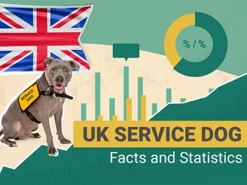 16 Remarkable UK Service Dog & Pet Therapy Statistics to Know in 2026