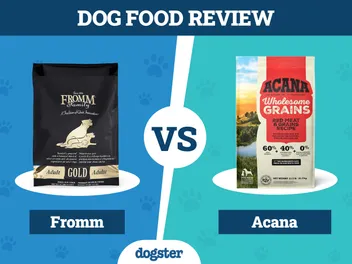 Fromm vs Acana Dog Food: 2026 Comparison, Pros & Cons