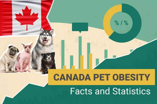 15 Canada Pet Obesity Statistics & Facts to Know in 2026