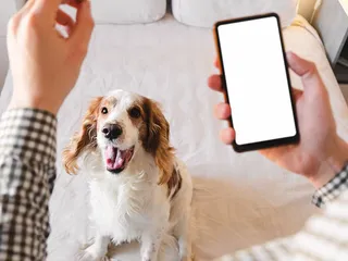 35 Top Pet Influencers You Can Follow Today (with Social Media Links)