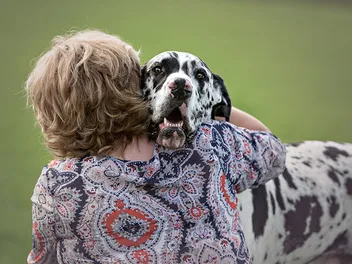 Why Do Great Danes Bury Their Heads? 8 Vet-Verified Reasons