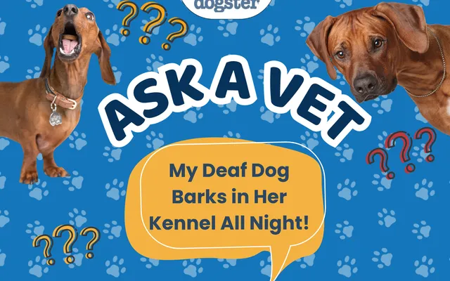 Ask Dr. Paola - HELP! My Deaf Dog Barks in Her Kennel All Night! (September 21, 2026)