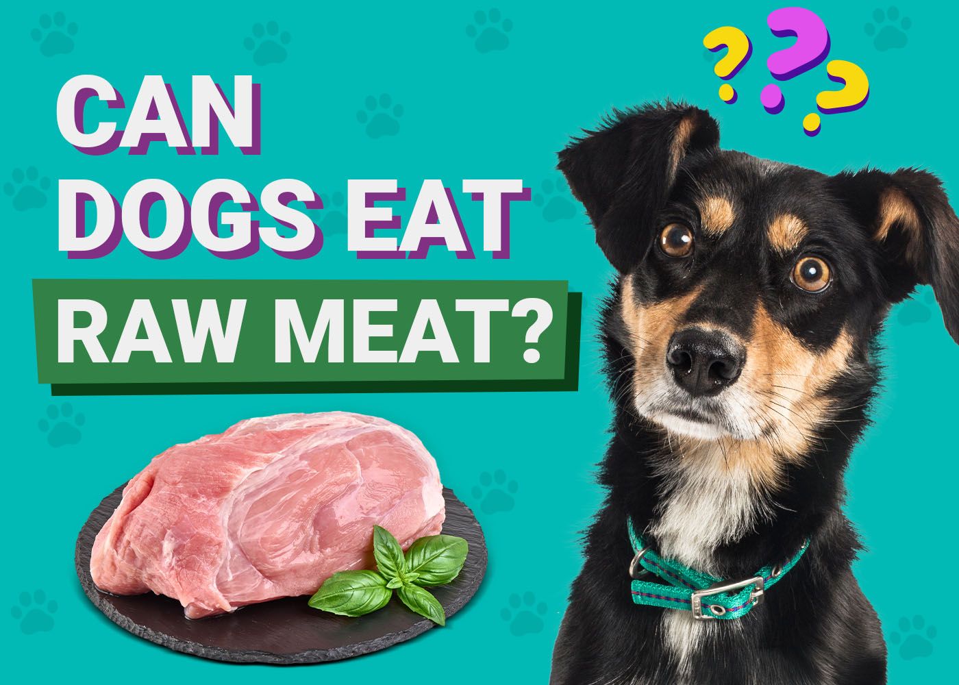 Can Dogs Eat Raw Meat