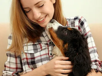 Why Mental Stimulation Is Crucial for Dogs: 6 Vet-Approved Reasons