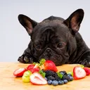 Fetch a Different Fruit: When Fresh Produce Is Dangerous For Dogs